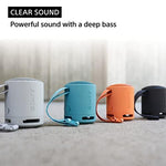 SONY SRS-XB100 Portable Wireless Bluetooth Speaker