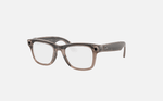 Ray-Ban Meta Smart Glasses (Wayfarer/ Skyler)