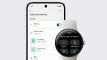 Google Pixel Watch 3 WIFI