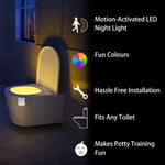 Smart Motion Sensor 8 Color LED Toilet Seat Night - Mainz Empire Pte Ltd