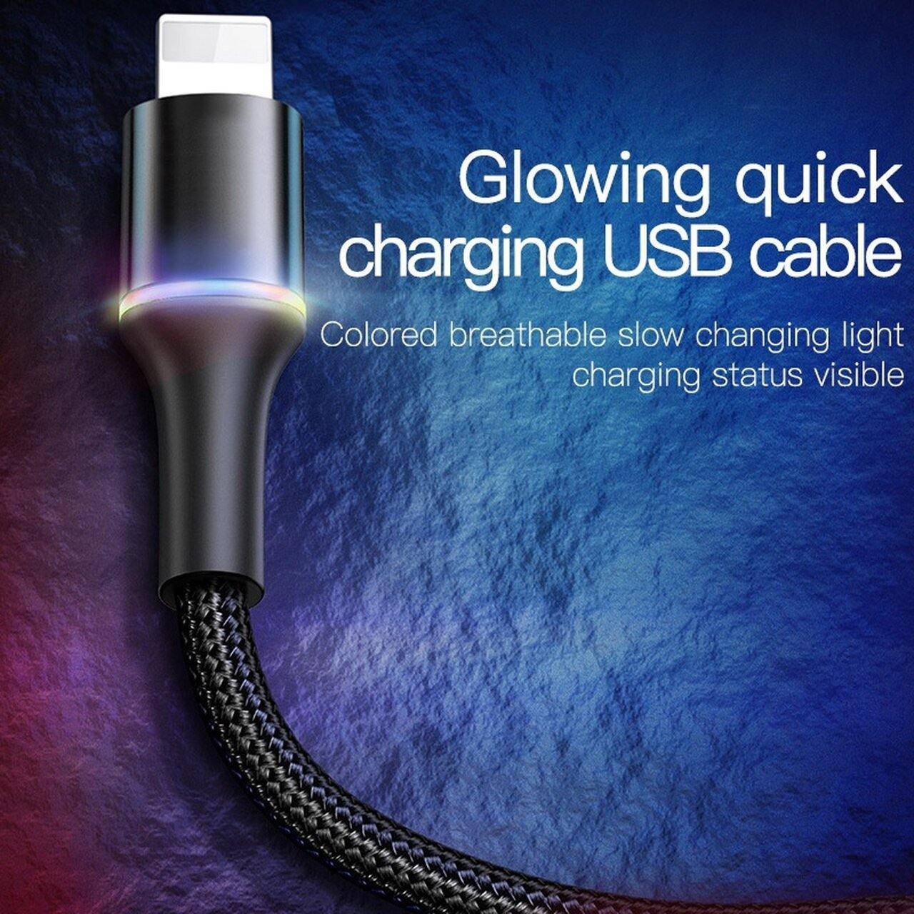 Baseus Halo Data Charging Lightning/Type C Fast Charging Cable - Mainz Empire Pte Ltd