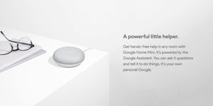 Google Nest Mini Gen 2 - Mainz Empire Pte Ltd